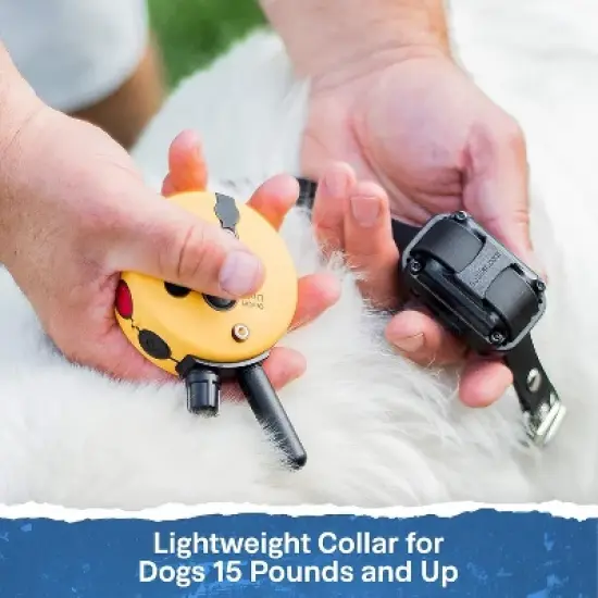 E-Collar ET-300 1/2 Mile Remote Waterproof Trainer Mini Educator Remote Training Collar - 100 Training Levels Plus Vibration and Sound image {7}