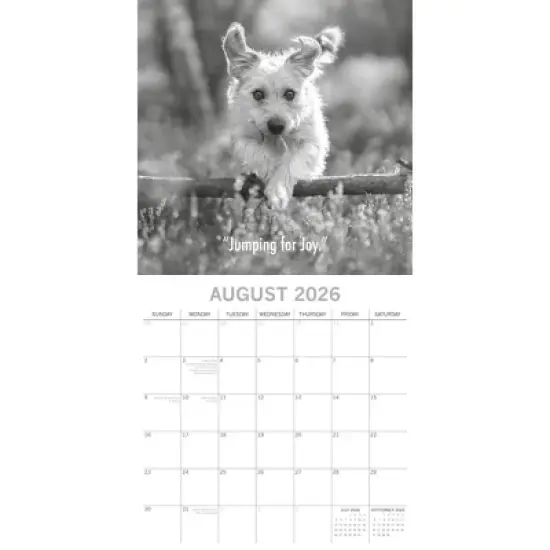 2026 Square Wall Calendar, Mutts, 16-Month Humor Theme with 180 Reminder Stickers (12x12 In) image {2}