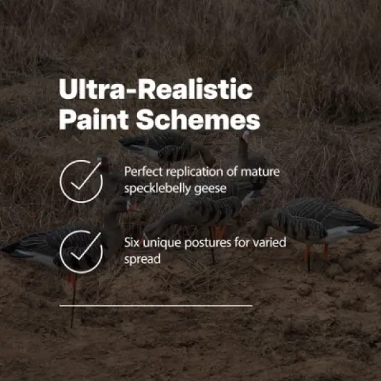 Avian X AXP Specklebelly Decoy Fusion Pack with Lasting Finish and custom Fitted Bag for Hunting Use, Outdoor Sports, and Recreation, 6 Pack image {3}