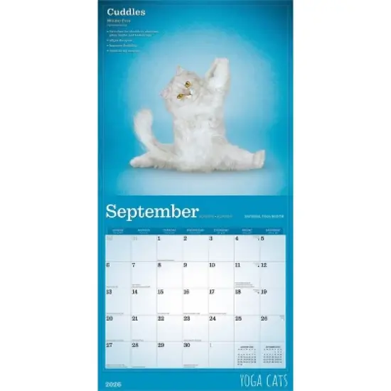 BrownTrout Yoga Cats 2026 12"x24" Hanging Square Wall Calendar Plastic-Free image {3}