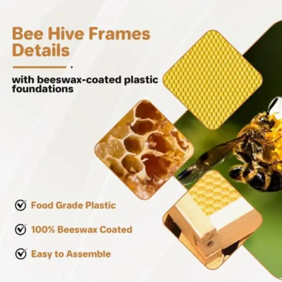 Bee Hive Starter Kit 10 Frame, Langstroth Beehive with Observation Window image {5}