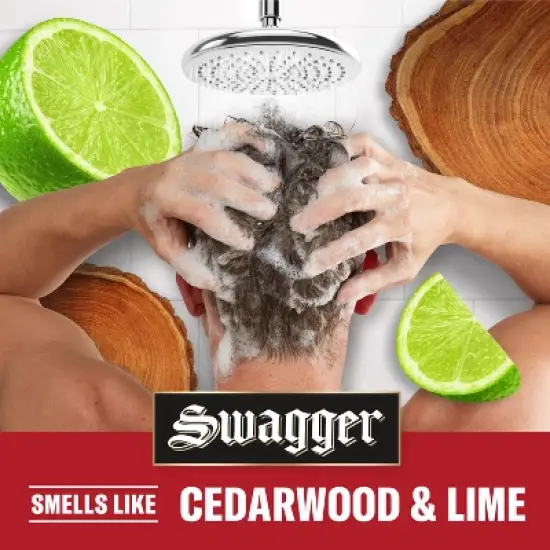 Old Spice Men's Swagger 2-in-1 Shampoo & Conditioner image {5}