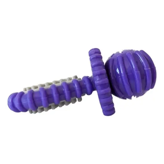 American Pet Supplies 4.9-Inch Dental Pacifier Dog Chew Toy - Purple image {1}
