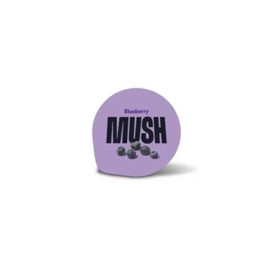 MUSH Blueberry Ready to Eat Gluten Free Vegan Oats - 5oz image {1}