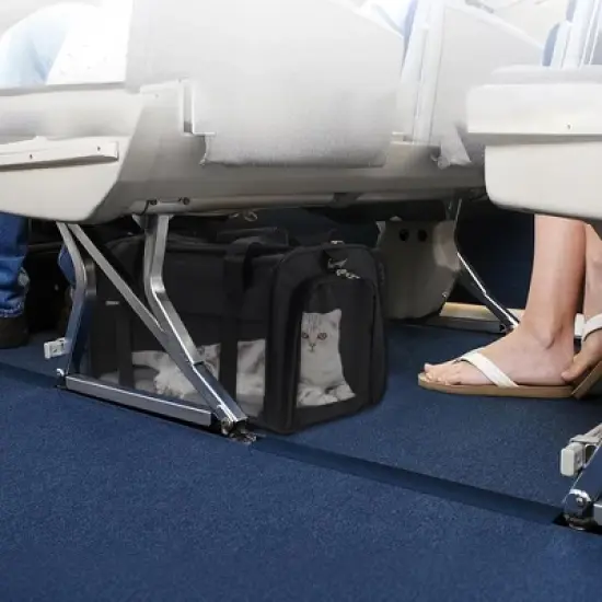 Unique Bargains Breathable Mesh Design Pet Carrier 1 Pc image {1}