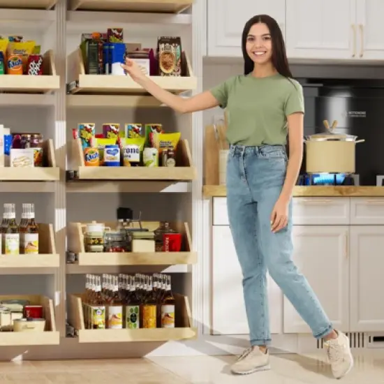 Pull Out Cabinet Organizer with Full Extension Rail Slides for Kitchen Cabinet Pantry with U Bracket image {1}