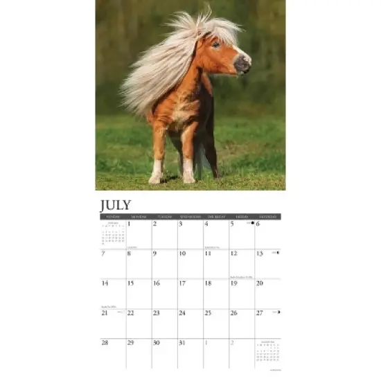 Willow Creek Press 2024 Wall Calendar 12"x12" Ponies image {2}