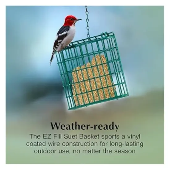 C & S EZ Fill Suet Basket Bird Feeder Basket, Green image {2}