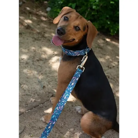 Country Brook Petz Dinosaurs Martingale Dog Collar and Leash image {1}