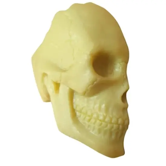 The Purple Cow The Human Body Advent Calendar: Educational Paper & Cardboard Winter Display image {10}