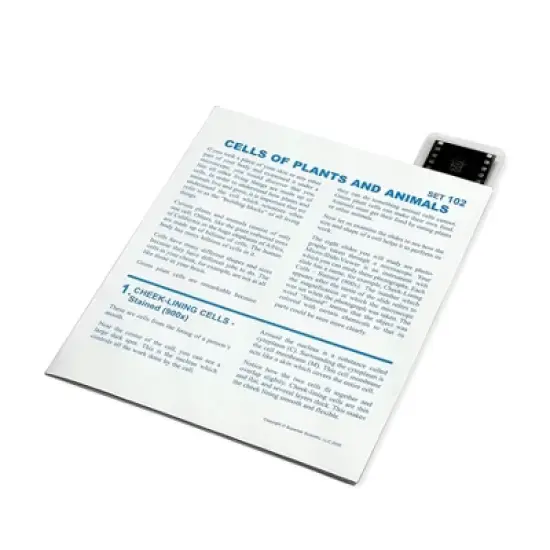 Supertek&reg; Microslide, Cells Of Plants and Animals, 35mm image {1}