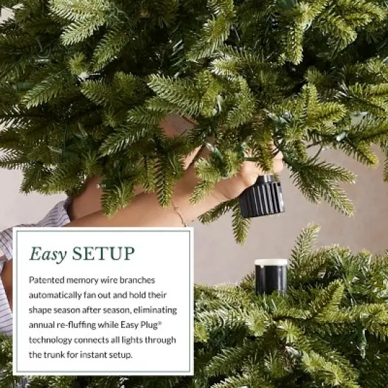 Balsam Hill Pre-Lit Alpine Balsam Artificial Christmas Tree image {2}