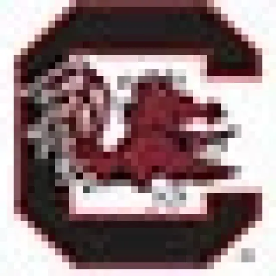 NCAA South Carolina Gamecocks Closer Backpack image {1}