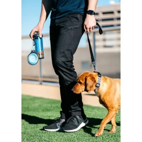 Dexas SnackDuo with Travel Cup - Blue image {3}