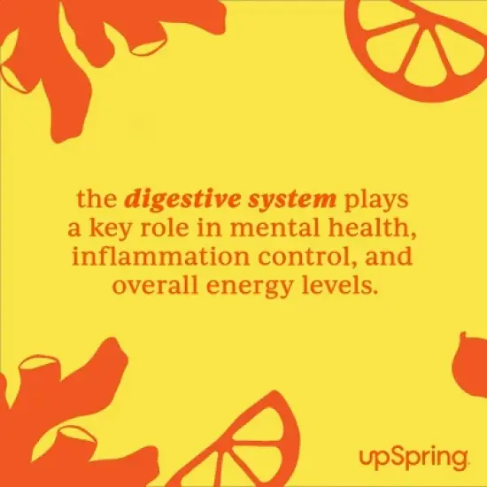 UpSpring Stomach Settle Nausea Relief Gummies - Lemon Ginger - 50ct image {5}