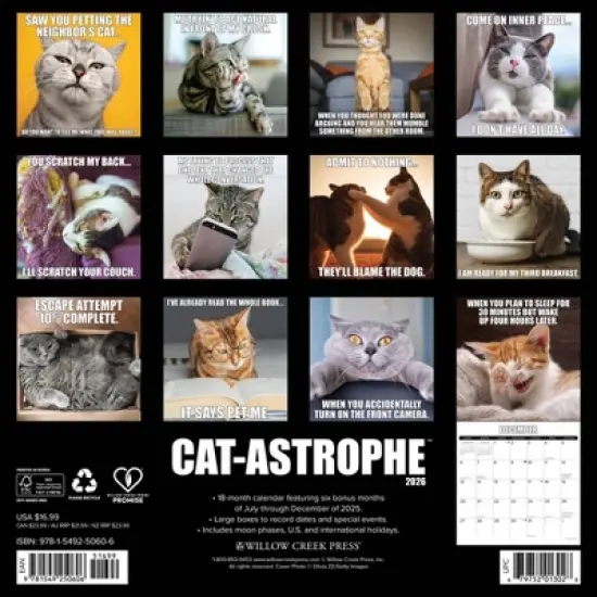 Willow Creek Press 2026 Cat-astrophe Wall Calendar image {1}