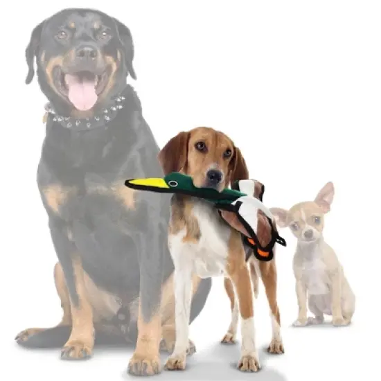 Tuffy Junior Barn Yard Duck Dog Toy - Brown image {1}