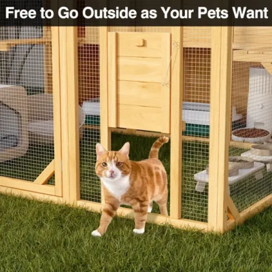 FUFU&GAGA Large Wooden Cattery Cat Enclosure Cat House with Multi - Level Space - Outdoor/Indoor Cat House with Secure Mesh image {9}