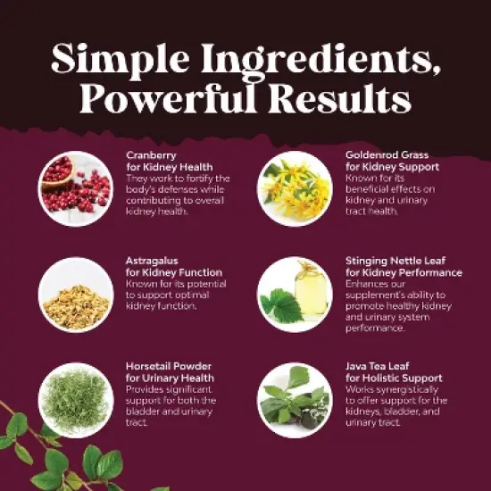 Kidney Support Supplement, Kidney Cleanse, Detox & Repair Capsule, Supports Urinary Tract Health & Bladder Cleanse, Nature's Craft, 60ct image {3}