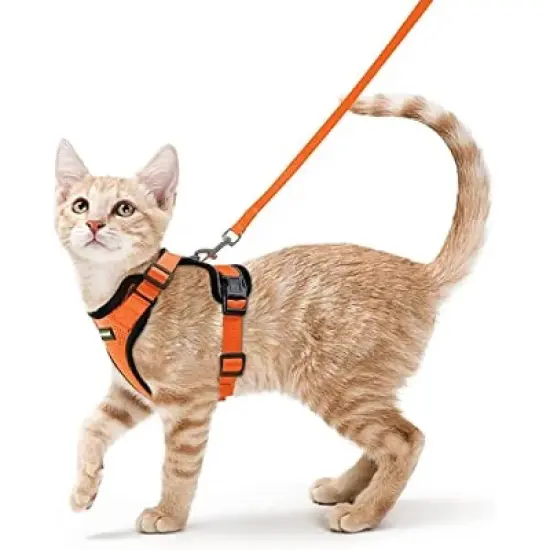 rabbitgoo Cat Harness and Leash image {5}