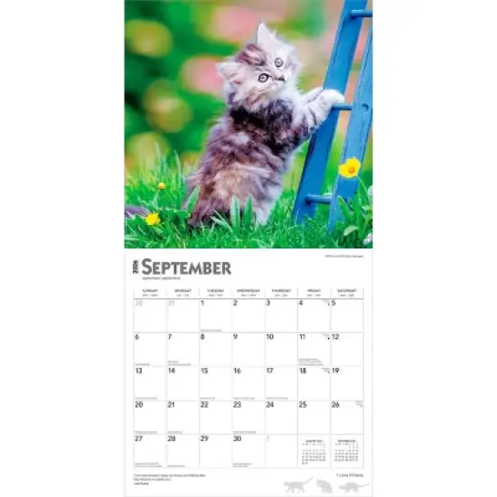 BrownTrout I Love Kittens 2026 12"x24" Hanging Square Wall Calendar Plastic-Free image {3}