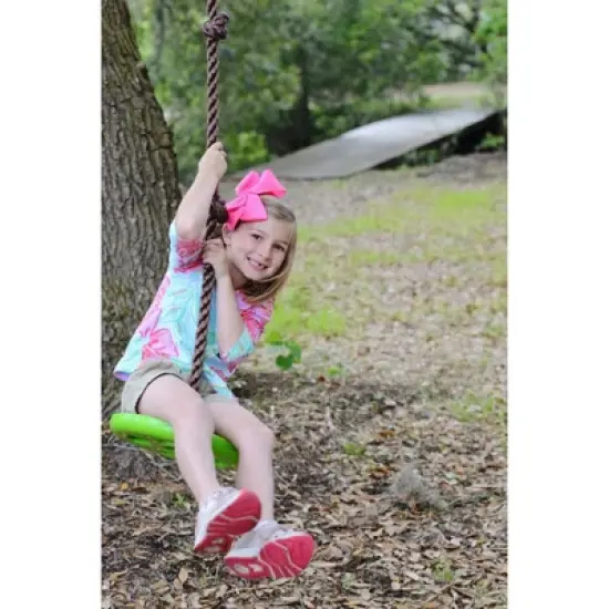 Flybar Swurfer Disco Disc Swing with 8' Climbing Rope image {6}