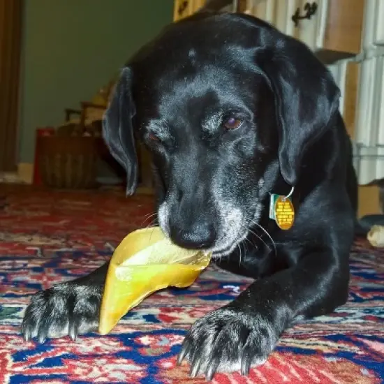 Pawstruck Natural Bulk Cow Hooves for Dogs - Made in the USA Bulk Dog Dental Treats & Dog Chews Beef Hoof, American Made image {6}