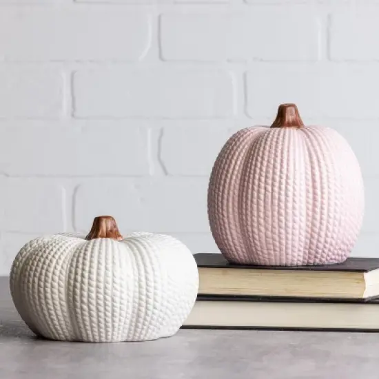Transpac Dolomite Pastel Knit Pumpkin Decor Set of 2 Resin Sculptures for Fall Halloween Indoor Tabletop Decoration image {1}