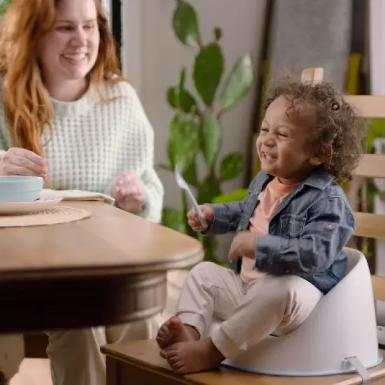 Ingenuity Simplicity Toddler Booster Seat - Gray image {4}