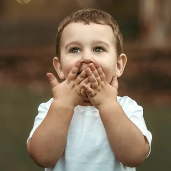 Honest Baby Boys' 5pk Organic Cotton Short Sleeve T-Shirt - Gray image {4}