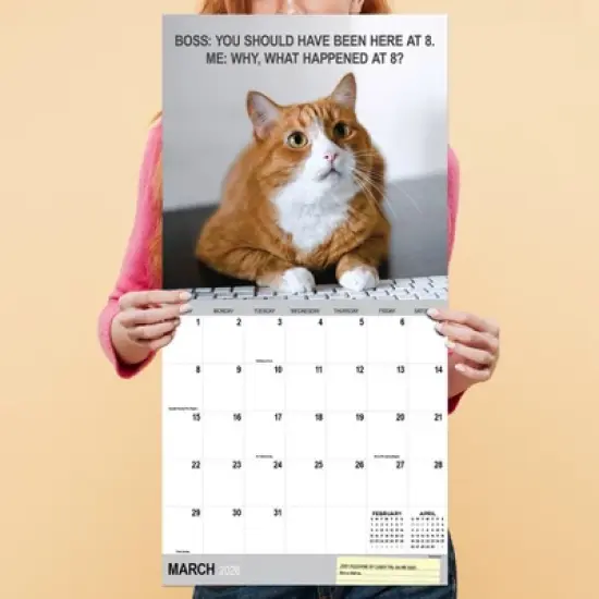 TF Publishing 13.5"x14.5" 2026 Corporate Cats Wall Calendar image {3}