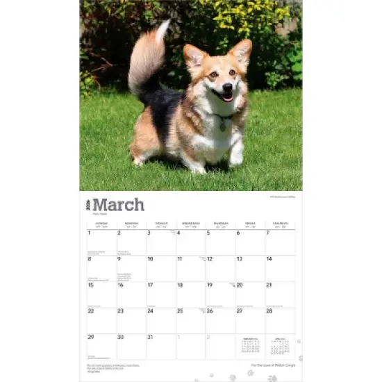 BrownTrout For the Love of Welsh Corgis 2026 14"x24" Hanging Deluxe Wall Calendar Plastic-Free image {2}