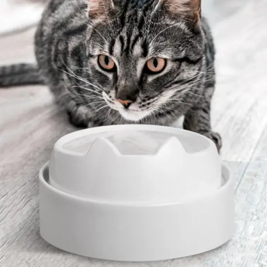 CatGuru Cat Food Table, Raised Stand for Food and Water Cat Bowls image {6}