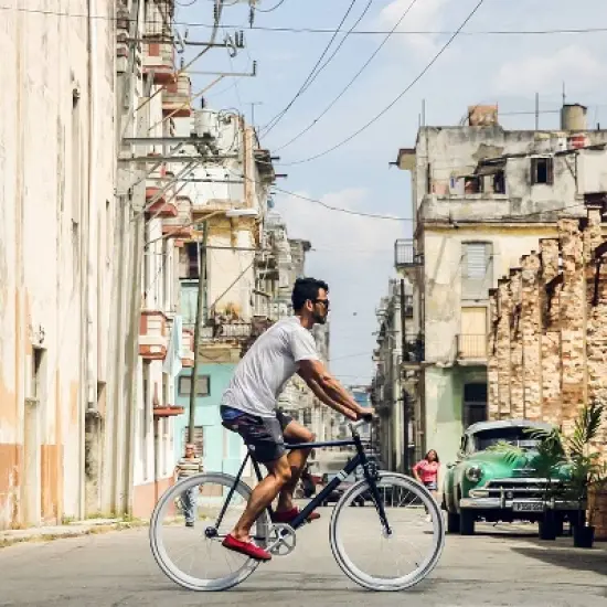 Sole Bicycles Single Speed 29" Road Bike image {11}