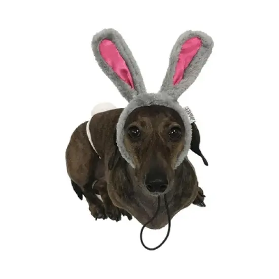 Midlee Easter Bunny Gray & Pink Dog Rabbit Ears with Tail (Small) image {5}