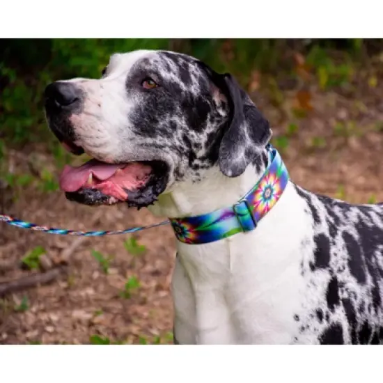 Country Brook Petz 1 1/2 Inch Tie Dye Flowers Martingale Dog Collar image {9}