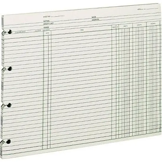 Wilson Jones Accounting 9-1/4 x 11-7/8 100 Loose Sheets/Pack GN2D image {1}