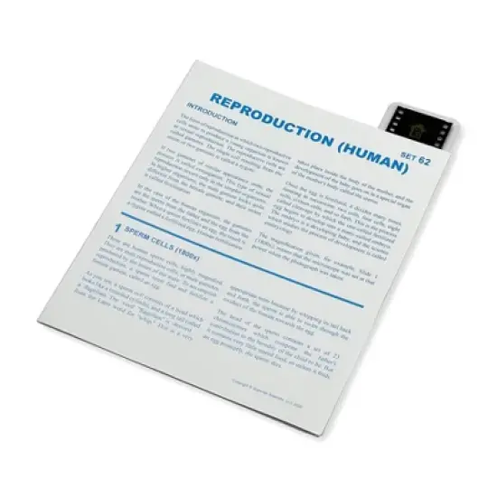 Supertek&reg; Microslide, Reproduction, 35mm image {1}