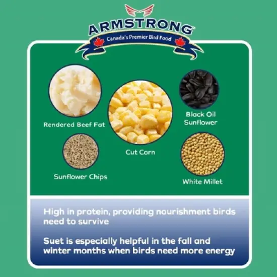 Armstrong Wild Bird Food Birder's Choice Suet Cake, 11.3oz (Pack of 12) image {4}