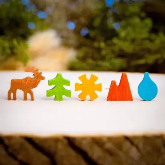 Keymaster Games Parks 2nd Edition Board Game: Includes Cards, Game Board, Tokens, Wooden Pieces for 2-5 Players image {3}