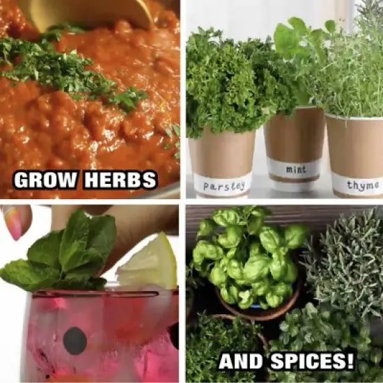 Bell + Howell Bionic Grow Light for Indoor Plants Head LED image {7}