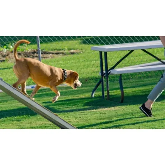 Country Brook Petz Woodland Camo Martingale Dog Collar image {6}