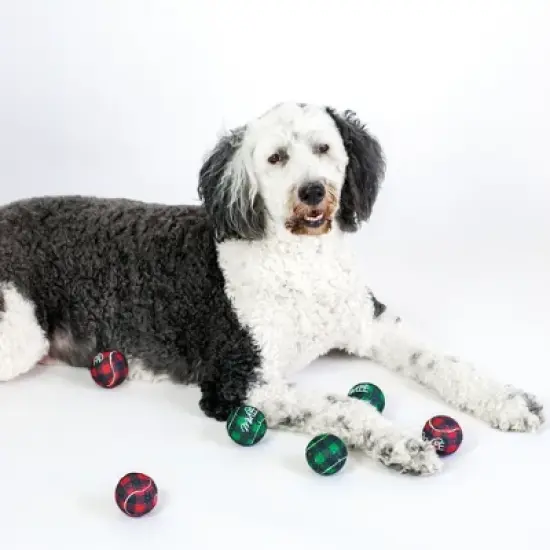 Midlee Dog Christmas Plaid Tennis Balls image {1}