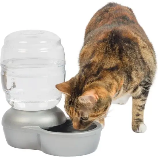 Petmate Replendish Waterer - Pearl Silver Gray(0.5 Gallon)- DS image {8}