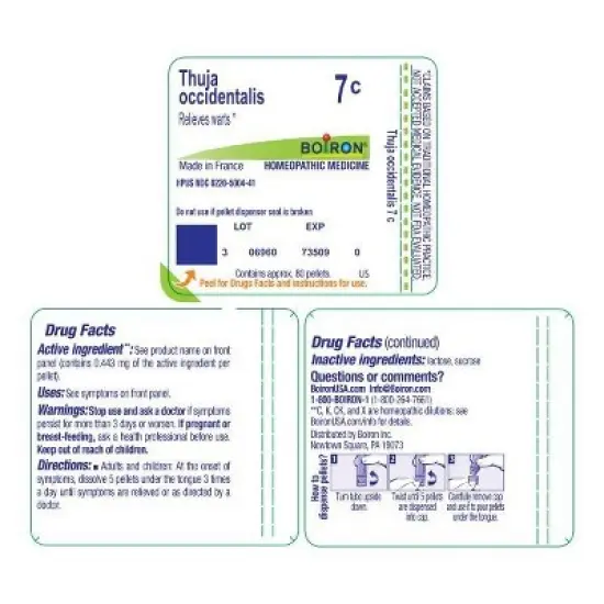 Thuja Occidentalis 7C by Boiron Homeopathic Single Medicine For First Aid  -  80 Pellet image {1}