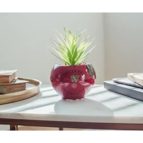 Silver Buffalo The Office Schrute Farms Rustic 8-Inch Planter With Artificial Succulent image {2}