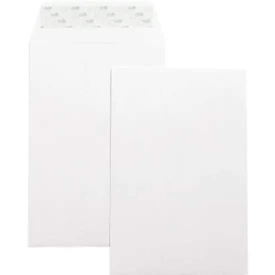 Business Source Catalog Envelopes Self Seal Plain 6"x9" 100/BX White Wove 42122 image {1}