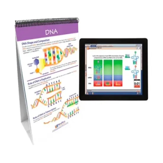 NewPath Learning Chromosomes, Genes & DNA Flip Chart and Online Multimedia Lesson image {1}