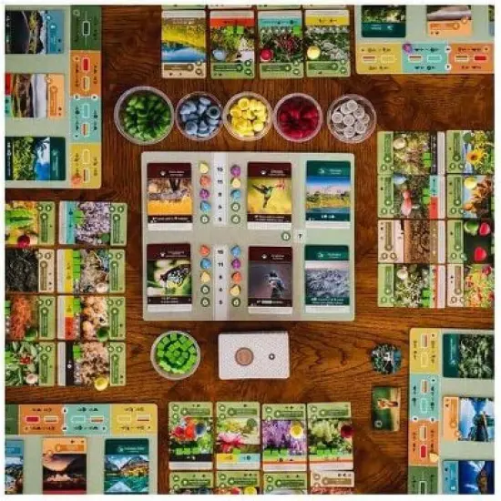 Asmodee Earth Board Game: Creative Thinking, Problem Solving, Geography, 1-5 Players, 40-80 Minutes Playtime image {2}