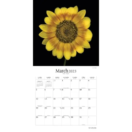 2023 Square Wall Calendar In the Garden - BrownTrout image {2}